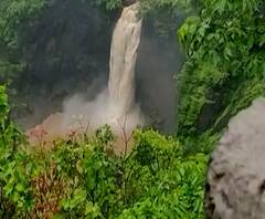 Dabhosa Waterfall | पालघर जिल्ह्यातील दाभोसा धबधबा प्रवाहित, जव्हार तालुक्यातील पर्यटनस्थळं सौंदर्यानं बहरली