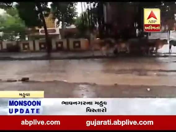 ભાવનગરના મહુવા તાલુકા અને ગ્રામ્ય વિસ્તારમાં વરસાદ, જુઓ વીડિયો