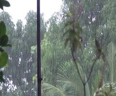 Maharashtra Rain Update | राज्यातील अनेक भागांत मुसळधार पाऊस; पिकांचंही नुकसान