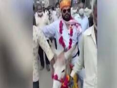 Indore: Village chief takes a ride on donkey to please 'Indra Dev'