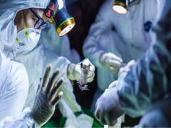 कोरोना के साथ जीने को तैयार हो रही दुनिया, खुल रहे पब, पार्क और रेस्टुरेंट | पंचनामा