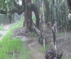 Monsoon Updates | आजपासून पुढील पाच दिवस कोकणात अतिमुसळधार पावसाची शक्यता