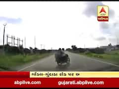 ગોંડલઃ રસ્તો પાર કરી રહ્યો હતો બાઇક ચાલક અને સ્પીડમાં આવતી કારે મારી ટક્કર, જુઓ LIVE અકસ્માત