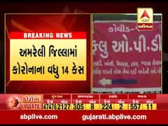 અમરેલી જિલ્લામાં કોરોનાના વધુ 14 નવા કેસ, કુલ કેસની સંખ્યા 229 પર પહોંચી, જુઓ વીડિયો 