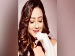 Madalsa Sharma Chakraborty's to soon star in serial Anupama 