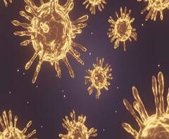 Raigad Corona | रायगड जिल्ह्यात दिवसभरात 524 नवे कोरोनाग्रस्त, पनवेल, अलिबाग, खालापूर, पेणमध्ये वाढता प्रादुर्भाव