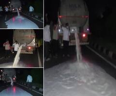 Milk Price Protest | कुठे टँकर फोडला तर कुठे अभिषेक; राज्यभरात 'स्वाभिमानी' दूध दर आंदोलन सुरु