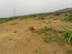 ભૂજના લોડાઈ ગામમાં તીડ ત્રાટકતા ખેડૂતો ચિંતામાં, જુઓ વીડિયો