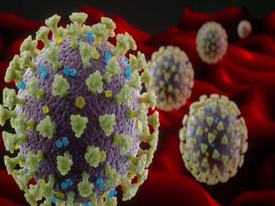 65000 new cases of Coronavirus registered in America within 24 hours