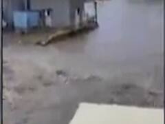 દક્ષિણ ગુજરાત અને સૌરાષ્ટ્રમાં આ તારીખે ધોધમાર વરસાદની હવામાન વિભાગની આગાહી