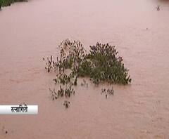 Ratnagiri Rain Update | दोन दिवसांच्या विश्रांतीनंतर रत्नागिरीत पावसाच्या सरी, नद्यांच्या पाणीपातळीत वाढ