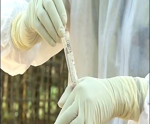 Coronavirus Update | कोरोनाबाधित देशांच्या यादीत भारत तिसऱ्या स्थानावर, रशियाला टाकलं मागे