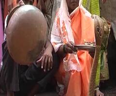 Nag Panchami 2020 | सांगलीत बत्तीस शिराळ्यात नागपंचमीचा उत्सव नाही; शेकडो वर्षांची परंपरा खंडीत