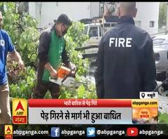 मसूरी : भारी बारिश से पेड़ गिरे,पेड़ गिरने से बिजली सेवाएं ठप