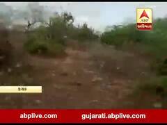 કચ્છમાં નખત્રાણાના તલ, લૈયારી સહિતના વિસ્તારોમાં ત્રાટક્યા તીડ