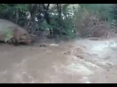 બનાસકાંઠાઃ વાવ પંથકમાં એક બાદ એક કેનાલમાં ગાબડું પડતા ખેડૂતો પરેશાન