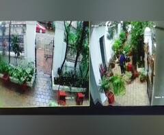 CCTV Footage | 'राजगृह'च्या बागेची नासधूस करणारा आरोपी सीसीटीव्हीत कैद 