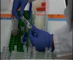 ভারতে মোট করোনা সংক্রমিতের সংখ্যা ৮ লক্ষের দোরগোড়ায় পৌঁছে গেল