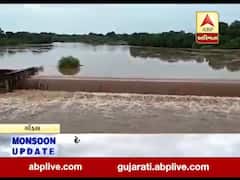 ધોધમાર વરસાદથી ગોંડલમાં નદી નાળા છલકાયા, જુઓ વીડિયો 