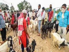 Bihar के गया में भूख का दर्द कोरोना के खौफ पर भारी