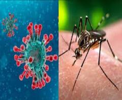 শরীরে একই সঙ্গে বাসা বেঁধেছিল ডেঙ্গি ও করোনা! মৃত্যু দক্ষিণ কলকাতার প্রৌঢ়ের