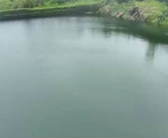 Raigad Fort Lake Water Level | रायगडावरील ऐतिहासिक तलाव कित्येक वर्षांनंतर पूर्ण क्षमतेने भरला!