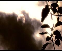 অতিবৃষ্টির আশঙ্কায় উত্তরবঙ্গে রেড অ্যালার্ট, ভারী বৃষ্টির পূর্বাভাস দক্ষিণবঙ্গেও