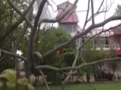 Rajasthan Crisis: Ashok Gehlot के भाई के घर,दुकान पर ED ने की छापेमारी