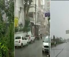 Rain | बीड, चंद्रपूर, परभणी जिल्ह्यात पावसाची रिपरिप
