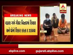 જૂનાગઢ: માણાવદર પાસેથી આઠ શિકારીઓ ઝડપાયા, જુઓ વીડિયો