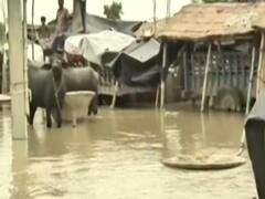 Teary-eyed residents of Bihar await help amid flood | Master Stroke