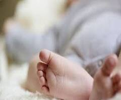 বীরভূমে অজানা রোগে ১৪ দিনের ব্যবধানে ৪ শিশুর মৃত্যু; সঙ্গে ২৩ জেলার অন্যখবর 'এক ঝলকে'