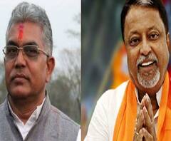 দিল্লিতে বঙ্গ বিজেপির বৈঠকের মাঝপথে রাজ্যে ফিরলেন মুকুল রায় 