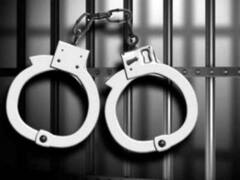 Delhi woman narrates plot after saving daughter from goons | Master Stroke