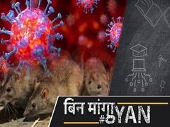  China की वजह से फिर मंडरा रहा Black Death Bubonic Plague का खतरा, हो चुकी है करोड़ों लोगों की मौत। ABP Uncut