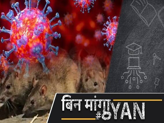  China की वजह से फिर मंडरा रहा Black Death Bubonic Plague का खतरा, हो चुकी है करोड़ों लोगों की मौत। ABP Uncut