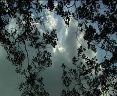 কলকাতাসহ দক্ষিণবঙ্গে আগামী ২-৩ ঘন্টার মধ্যে বজ্রবিদ্যুৎ সহ বৃষ্টির পূর্বাভাস 