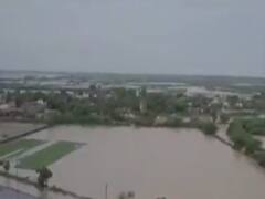 દ્વારકાઃ ભોગાત ગામના ખેતરો ફેરવાયા બેટમાં, જુઓ એક્સક્લુઝિવ વીડિયો