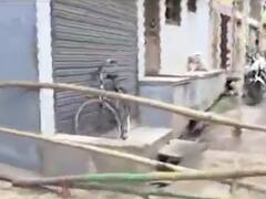 નર્મદામાં કોરોનાના કેસ વધતા કન્ટેઇનમેન્ટ ઝોનમાં કરાયો વધારો, જાણો ક્યા વિસ્તારોનો કરાયો સમાવેશ?