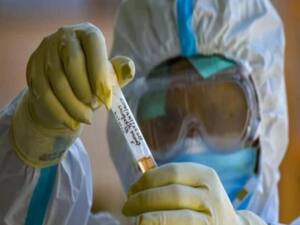 Good news! Covid-19 Vaccine will be ready soon | Master Stroke 