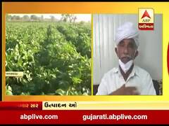 બનાસકાંઠાઃ બટાકા પકવતા ખેડૂતો ખુશખુશાલ, 400થી 540 રૂપિયા મળી રહ્યો છે ભાવ