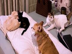 Meet special and loyal friends of Sukirti Kandpal