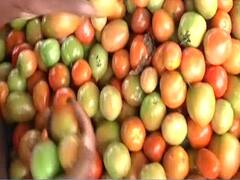 हर साल जुलाई में क्यों महंगा हो जाता है टमाटर? Ghanti Bajao