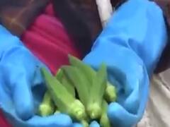  સુરત જિલ્લામાં ભીંડા પકવતા ખેડૂતોની સ્થિતિ કફોડી, ખેડૂતોને નથી મળી રહ્યા પુરતા ભાવ