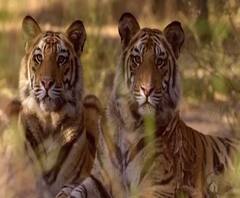 TOP 50 | गल्ली ते दिल्ली महत्त्वाच्या बातम्यांचा संक्षिप्त आढावा | बातम्यांचं अर्धशतक