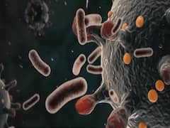 Results of Covid vaccine in India heading towards success: Ashwini Choubey 