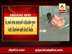 ગણેશ વિસર્જનને લઇને અમદાવાદ મનપાની સ્ટેન્ડિંગ કમિટીમાં કરાઇ ચર્ચા, જુઓ વીડિયો