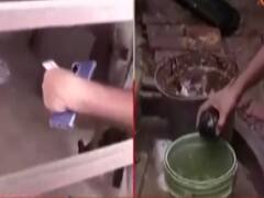 Vikas Dubey Encounter : क्या Encounter के पीछे Proper Planning थी? कैसे बदल गई गाड़िया?