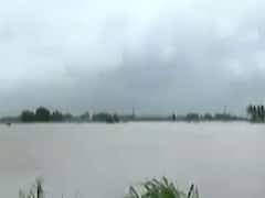 પોરબંદરથી દ્ધારકા જતા હાઇવે પર ખેતી થઇ ચોપટ, જુઓ વીડિયો