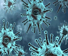 চটজলদি : রাজ্যে করোনায় নয়া রেকর্ড, একদিনে মৃত ৪২, সঙ্গে অন্য খবর